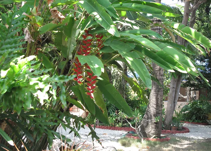 Bamboo Paradise