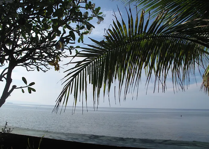 Bamboo Paradise Station touristique Argao