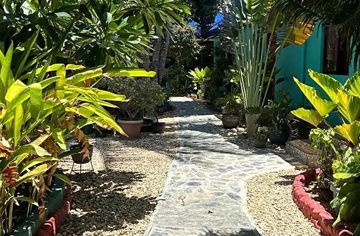Bamboo Paradise Argao